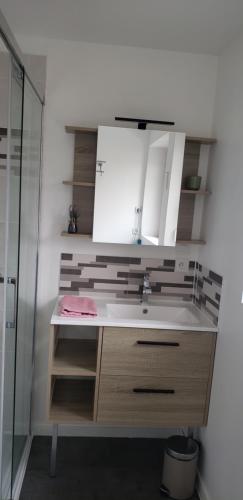 ein Bad mit einem Waschbecken und einer Glasdusche in der Unterkunft L'étape in Mutzig
