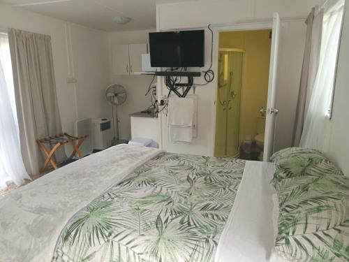 a bedroom with a large bed and a flat screen tv at Riverside Accommodation in Karangahake
