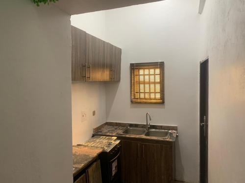 małą kuchnię ze zlewem i oknem w obiekcie Ace shortlet apartment w mieście Abudża