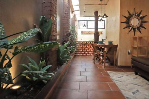 a living room with a table and some plants at Casa Hala LOFT & SPA LUXURY in León