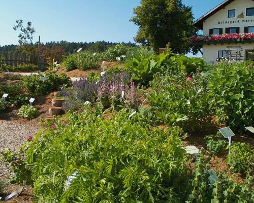 a garden with flowers and plants in front of a house at Hildegard Naturhaus in Kirchberg bei Mattighofen