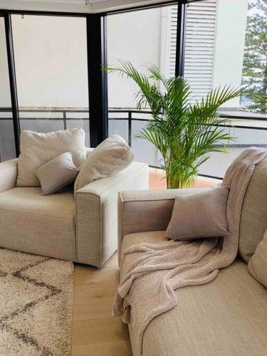 カイアマにあるSeabreeze Luxury Apartment Kiamaのリビングルーム(ソファ、植物付)