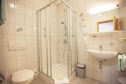 y baño con ducha, aseo y lavamanos. en Zum Bräu-Toni, en Dietfurt