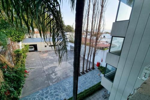 a palm tree in front of a house at Hotel boutique Tramas Andinas in Salta