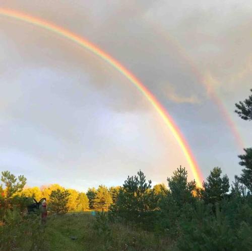 een regenboog in de lucht boven een veld bij Spacious 4 Bedroom Forest Escape [Sunroom+Firepit] in Kawartha Lakes