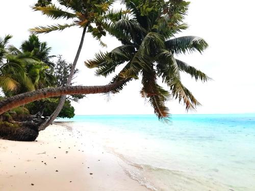 Chez Vaiana, hébergement à Huahine