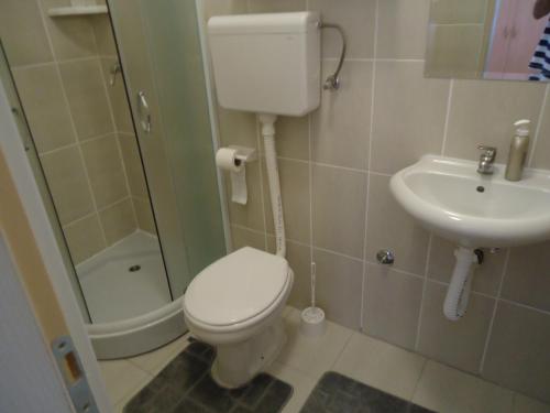 a bathroom with a toilet and a sink at Prenoćište Vila Stara Breza in Palić