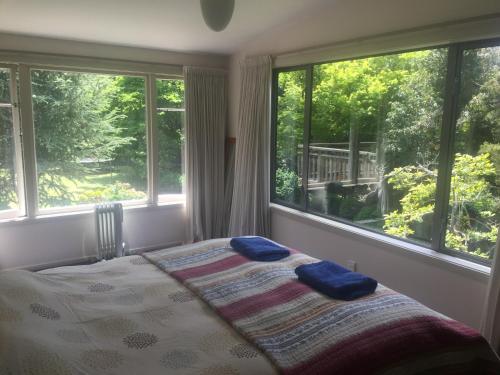 a bedroom with a bed with two blue pillows on it at Nikau Retreat in New Plymouth