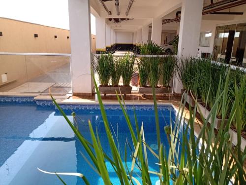 uma piscina com plantas num edifício em Flat Brilho do Sol em Olímpia
