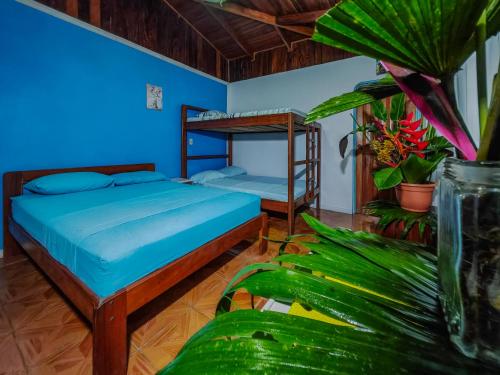 a bedroom with two bunk beds and a plant at Cabina 1 Sweet Gulf in Puerto Jiménez