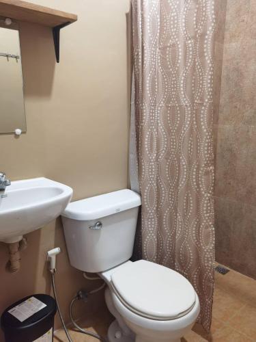 a bathroom with a toilet and a sink and a shower at Casa Kristar in Mamburao