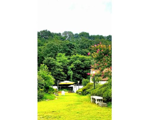 a park with benches and trees in the background at Songjukheon Pension in Damyang