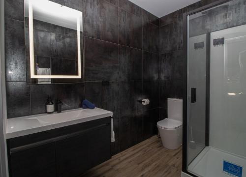 a bathroom with a sink and a toilet and a mirror at City Living Apartment Three in New Plymouth