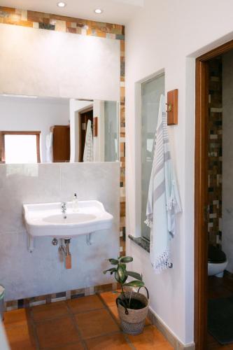 a bathroom with a sink and a mirror at La Roche Estate in Franschhoek