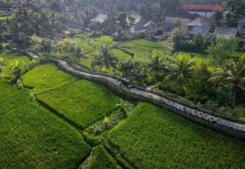 Wapa di Ume Ubud — Bird's eye view