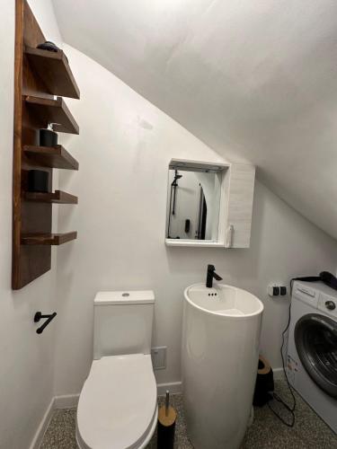 a bathroom with a white toilet and a sink at Cismigiu Apartments in Bucharest
