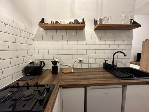 a kitchen with a counter with a sink and a stove at Cismigiu Apartments in Bucharest