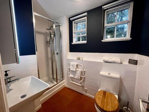 a bathroom with a shower and a toilet and a sink at Wanton Wa's in Nine Mile Burn