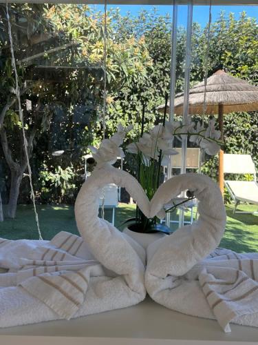 Saija Resort – Photos 3