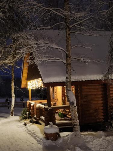 a snow covered cabin with a tree in front of it at Camping Oskalns in Cēsis