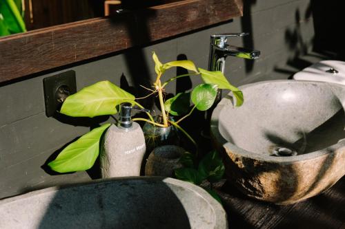 a bathroom with a sink and a plant in a vase at Desa Cabins in Balian