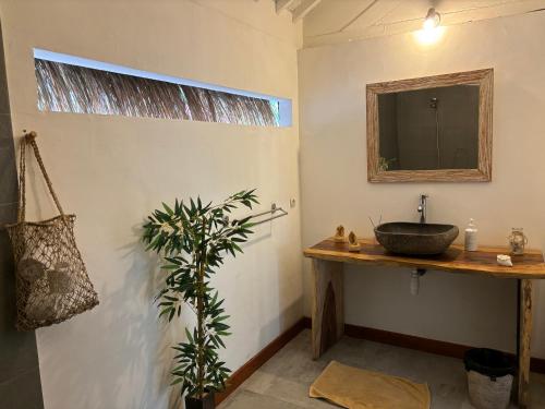 a bathroom with a sink and a mirror and a plant at villa Oceane in Gili Air