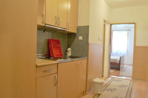 a kitchen with a sink and a counter top at Apartment Evropa in Zlatibor