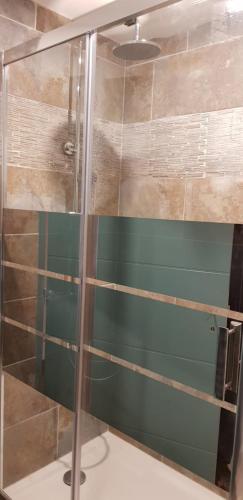 a shower with a glass door in a bathroom at Le Patio in Saintes-Maries-de-la-Mer