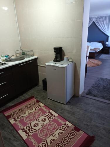 a kitchen with a refrigerator and a sink and a rug at Casa Mary Mar in Tîrgu Ocna