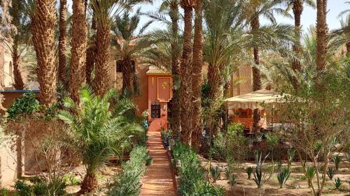 Riad le petit jardin في زاكورة: منزل أمامه أشجار نخيل