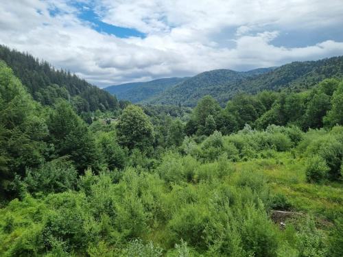 an aerial view of a forest with mountains in the background at HCT Sinaia Apartment in Sinaia