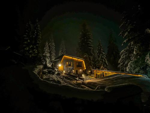 a cabin in the woods in the snow at night at Vila Bašić Vlašić Spa Apartman JELEN in Vlasic
