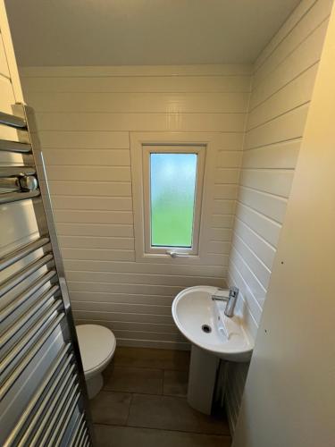 a bathroom with a sink and a toilet and a window at The Vale @Barmston in Barmston