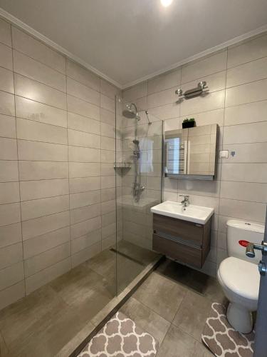 a bathroom with a shower and a sink and a toilet at Apartament Melanie in Oradea