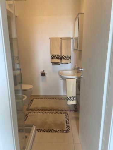 a bathroom with a sink and a toilet and towels at Casa Leone in Massino Visconti