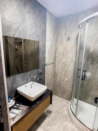 a bathroom with a sink and a shower at HASS Boutique Hotel in Gostivar