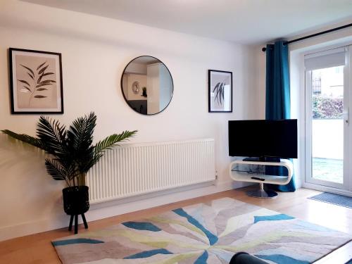 a living room with a television and a potted plant at No's 2 and 5 Llewelyn Apartments in Llanberis