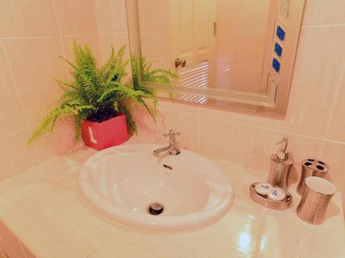 lavabo con maceta y espejo en Family Resort Khao Yai, en Pak Chong