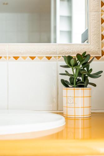 une plante en pot dans une salle de bains avec un miroir dans l'établissement Villa Beaumarchais, à Paris