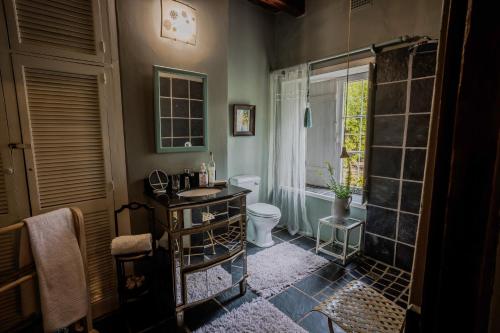 a bathroom with a toilet and a sink and a window at Moolmanshof 1798, Traditional Cape Dutch H-Shaped Farmhouse in Swellendam