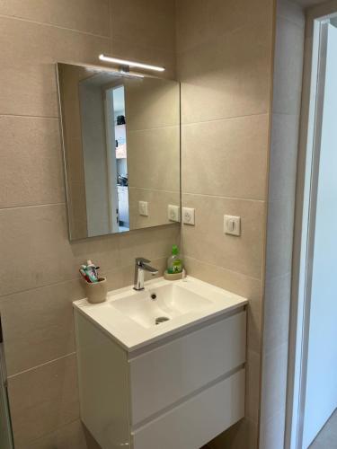 een badkamer met een wastafel en een spiegel bij studio balcon, centre ville, parc expo, Arena in Pérols