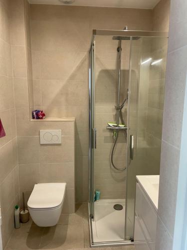 W łazience znajduje się prysznic, toaleta i umywalka. w obiekcie studio balcon, centre ville, parc expo, Arena w mieście Pérols