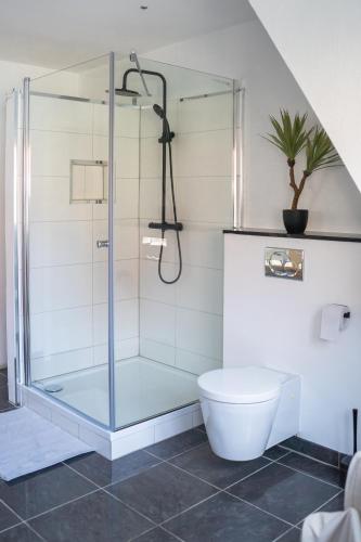 a bathroom with a glass shower with a toilet at JS-Apartments in Balingen
