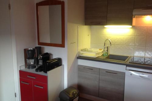 uma pequena cozinha com um lavatório e um balcão em Superb well-equipped apartment em Le Dévoluy