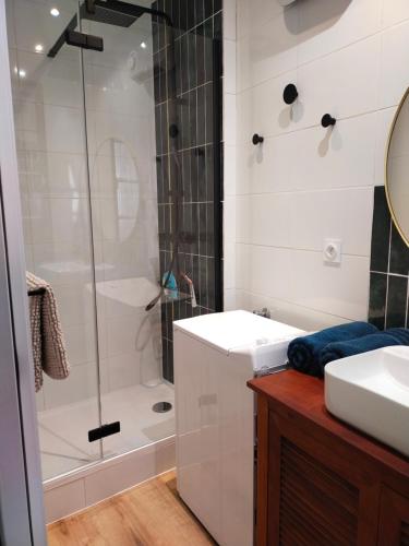 une salle de bain avec une douche, un lavabo et un miroir dans l'établissement Le Lavoir - Studio centre ancien sur placette, à Toulon