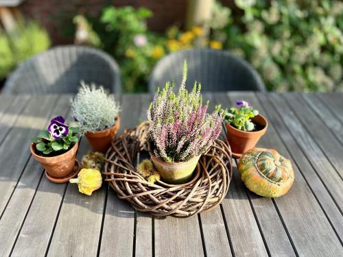 a group of potted plants sitting on a table at "Zonnekind" Atmospheric holiday home in Noordwijkerhout near the beach in Noordwijkerhout