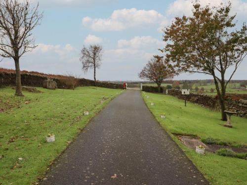 a long road with trees on the side of a field at High Shaftoe in Longwitton