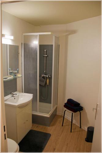 une salle de bain avec douche et lavabo dans l'établissement Studio Ô Grand Canal !, à Toulouse
