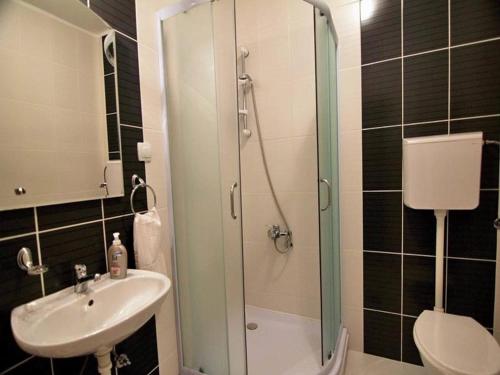 a bathroom with a shower and a sink and a toilet at Guest House 3M in Kaludjerske Bare