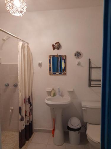 a bathroom with a sink and a toilet and a shower at La Casa del Ritmo in El Cuyo